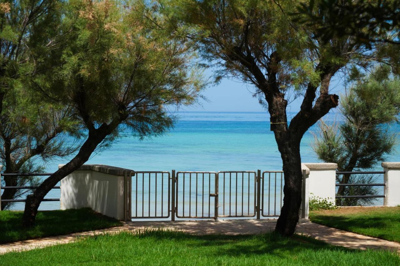 Aurelia Sea View Bed & Breakfast Torre Canne Ngoại thất bức ảnh