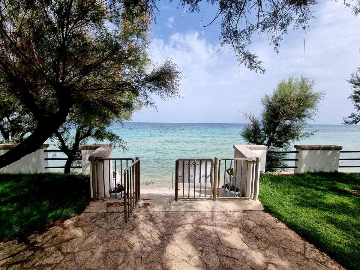 Aurelia Sea View Bed & Breakfast Torre Canne Ngoại thất bức ảnh