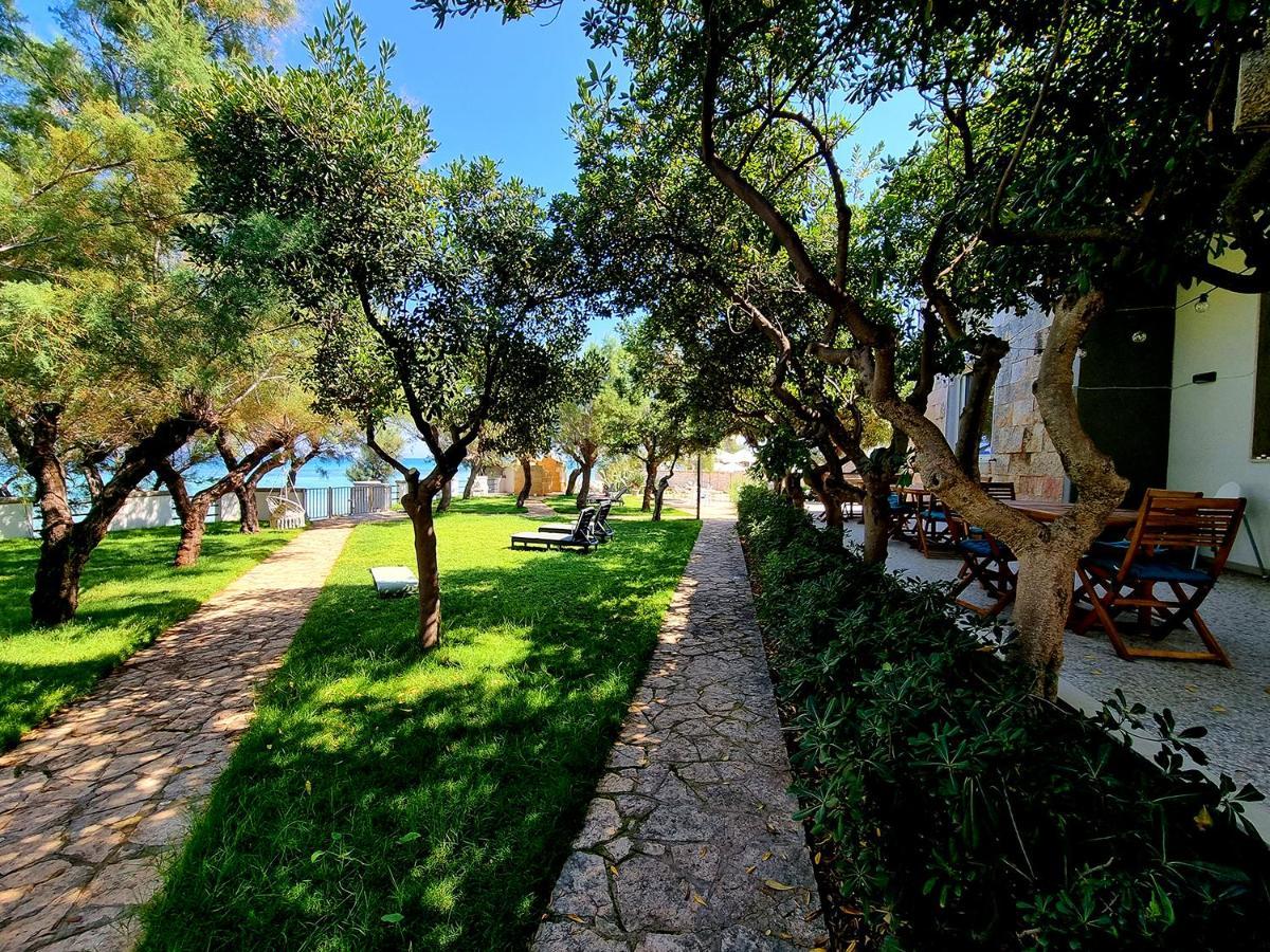 Aurelia Sea View Bed & Breakfast Torre Canne Ngoại thất bức ảnh